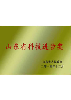 Shandong Science and Technology Progress Award