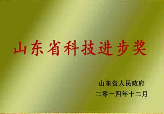Shandong Science and Technology Progress Award