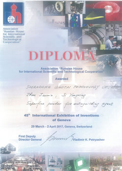 Russian Academy Special Award
