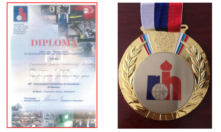 Picture 7、Russian Academy Special Award